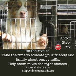 Stop Online Puppy Mills Action Steps
