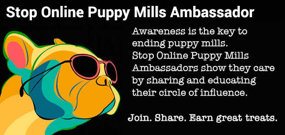 Be a Stop Online Puppy Mills Ambassador