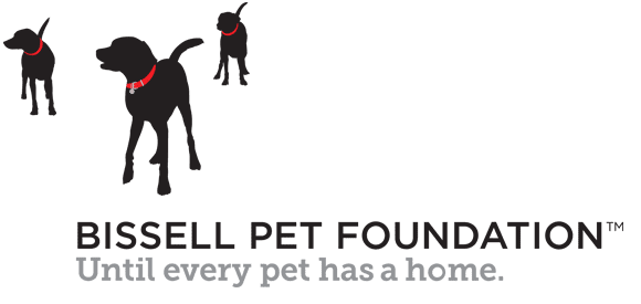 stop-online-puppy-mills-bissell-pet-foundation Bissell Pet Foundation Until Every Pet Has a Home