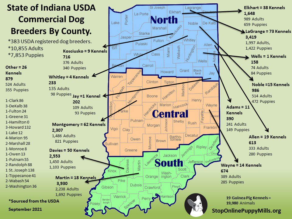 Indiana dog breeders 2021