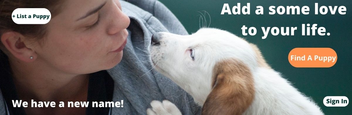 Puppies.com